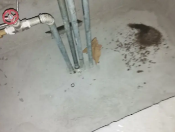 景德镇卫生间测漏水价格明细